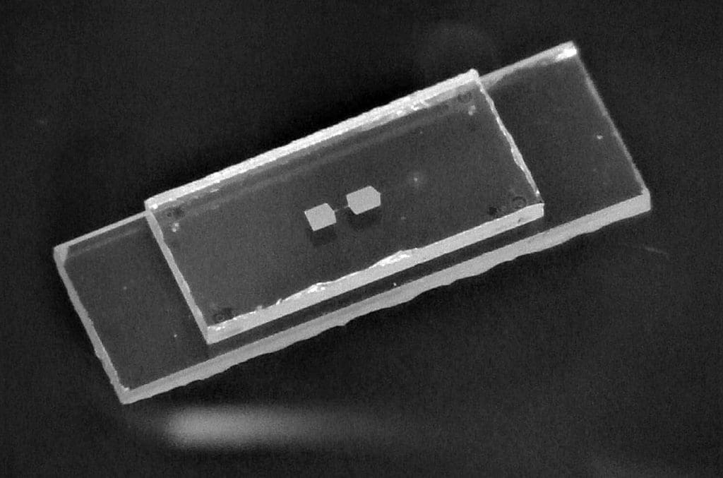 The device consists of a sapphire chip with a superconducting qubit (gray rectangles, left) on top of another that acts as a mechanical oscillator (gray dot, right). Uwe von Luepke/ETH Zürich