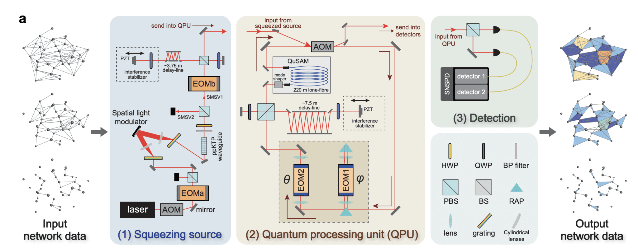 Programmable Photonics Enables Complex Networks