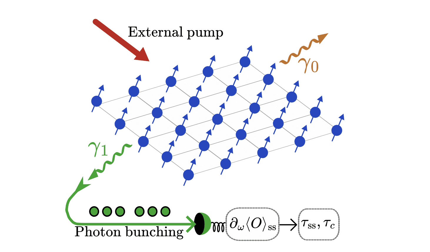 Steady-State Measurements Provide Lower Bounds for Relaxation and Correlation Times