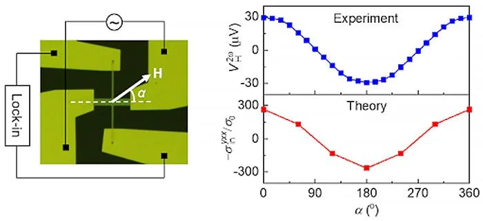 Revolutionising Electronics: Scientists Manipulate 'Electron Universe' Geometry In Magnets In a Hall bar device of Mn3Sn/Pt under a magnetic field H (left), the second-order Hall effect is obtained from the experiment and the theoretical modeling based on the quantum metric (right). ©Jiahao Han, Yasufumi Araki, and Shunsuke Fukami