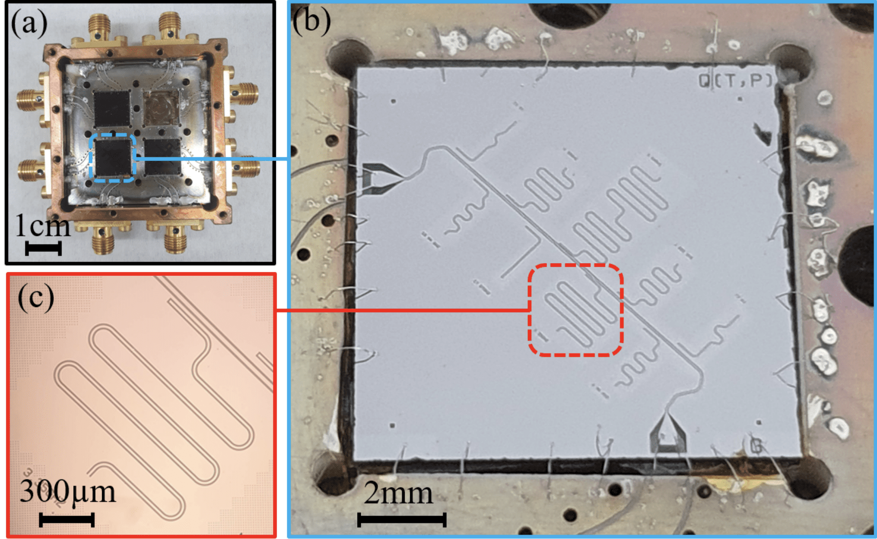 Understanding Loss In Superconducting Qubits