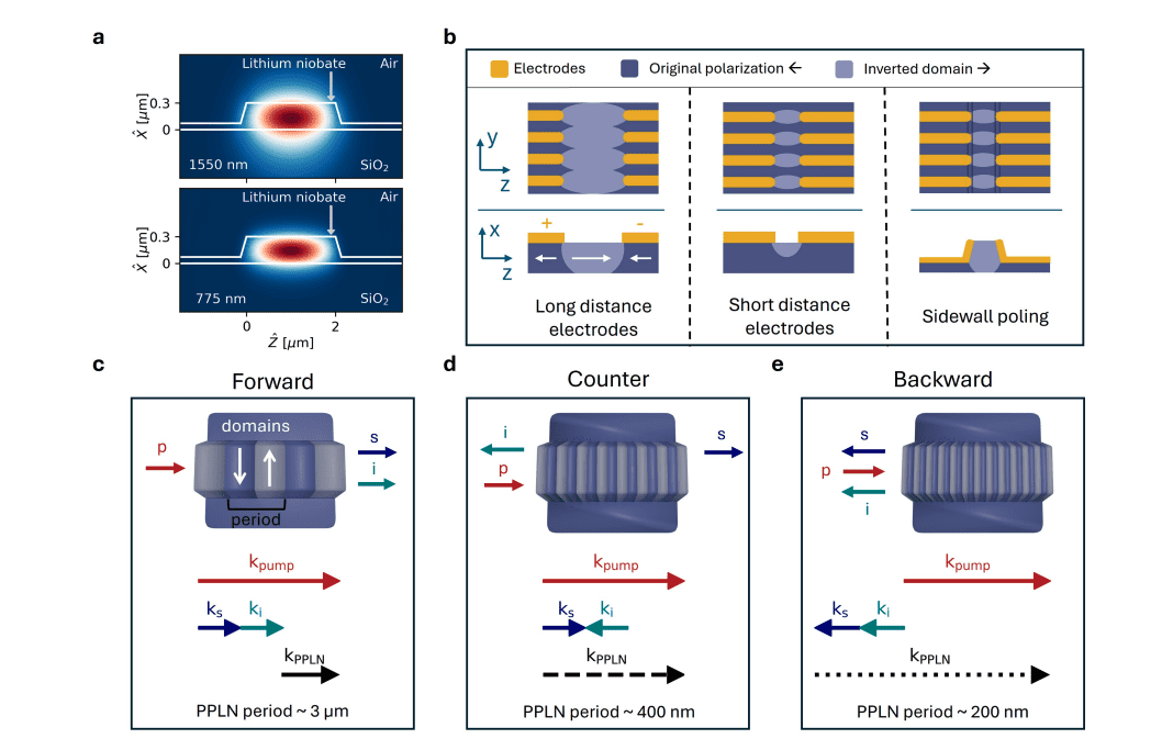 Nanoscale Poling Enables High-Efficiency Nonlinear Frequency Conversion in Lithium Niobate