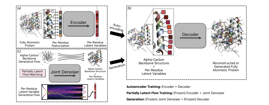La-Proteina is a protein modeling system with three main components: an encoder that converts input proteins into latent representations for each residue, a decoder that reconstructs the full atomic structure and amino acid sequence from these latents and the alpha-carbon backbone, and a joint denoiser that enables generation of entirely new proteins by creating novel backbone structures and latent variables together. The system uses a two-stage training process and is built entirely using transformer architecture throughout all its networks.RetryClaude can make mistakes. Please double-check responses.