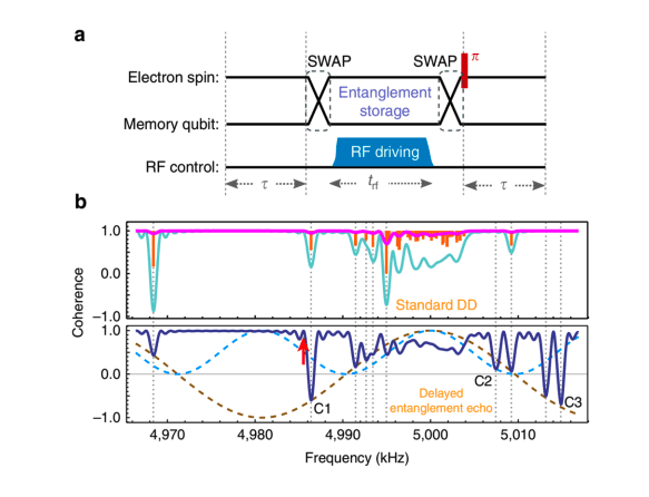 Nuclear Spins Enhance Electron Coherence in Diamond Nitrogen-Vacancy Centers
