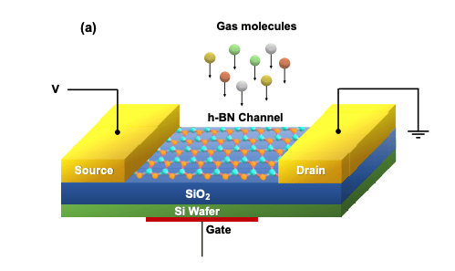 Boron Nitride Field-Effect Transistors Show High Sensitivity to CO and NO Gases