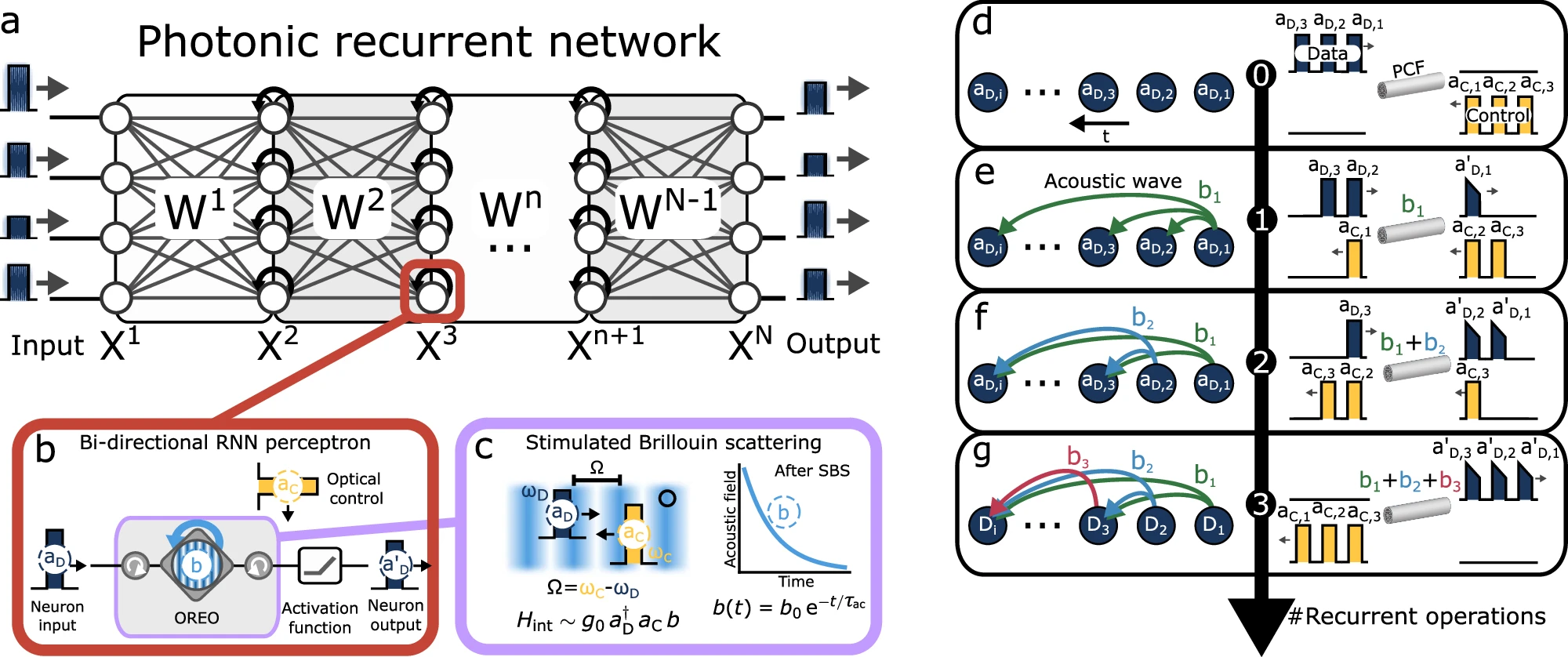 Breakthrough in Optoacoustic Technology: OREO Enhances Neural Networks' Memory and Scalability