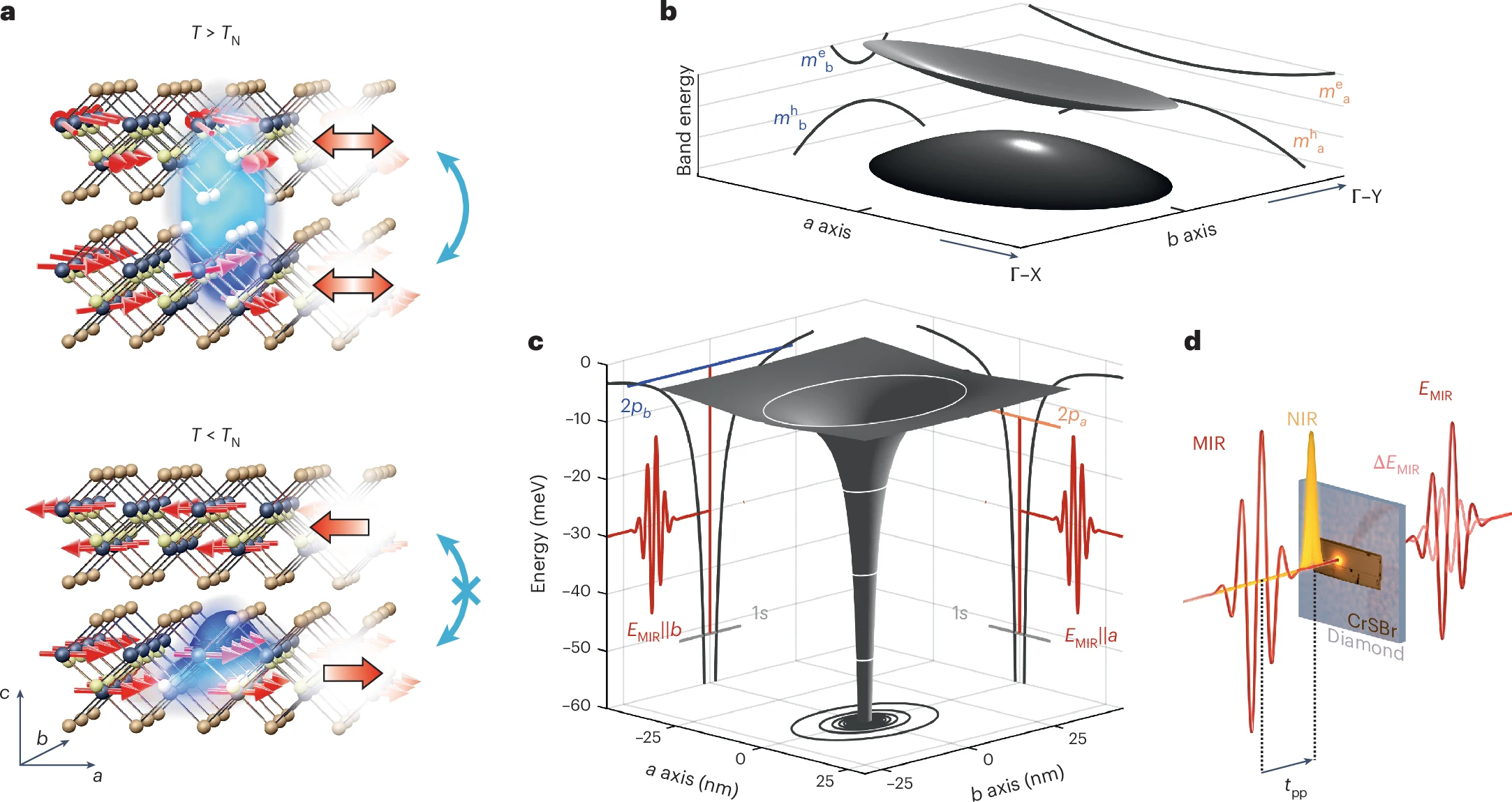 Quantum 'Miracle Material' Demonstrates Magnetic Switching: A Breakthrough in Quantum Computing and Information Technology