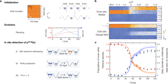 China has a new 71 site Bose–Hubbard quantum simulator for quantum electrodynamics research