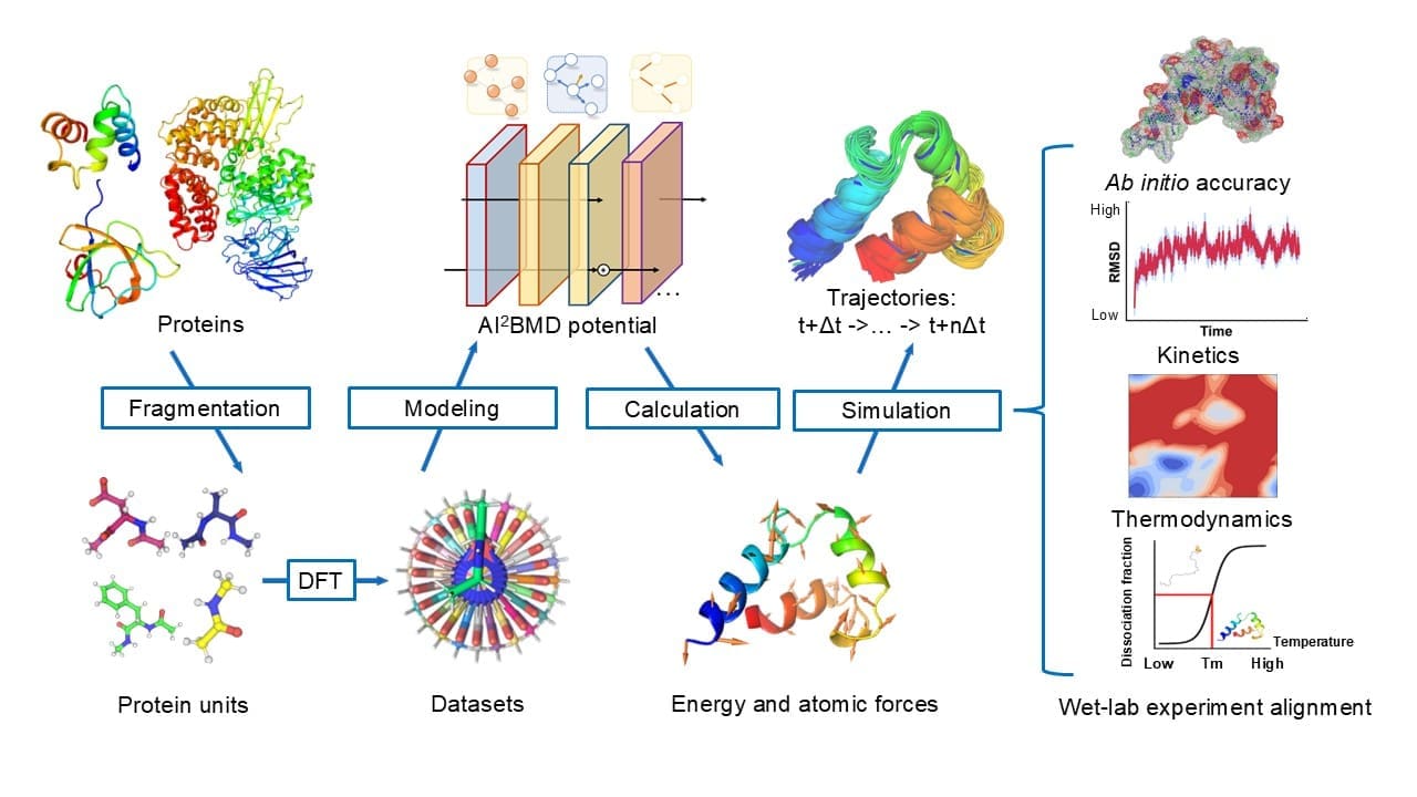 AI2BMD Revolutionizes Protein Simulation with Unparalleled Speed and Accuracy