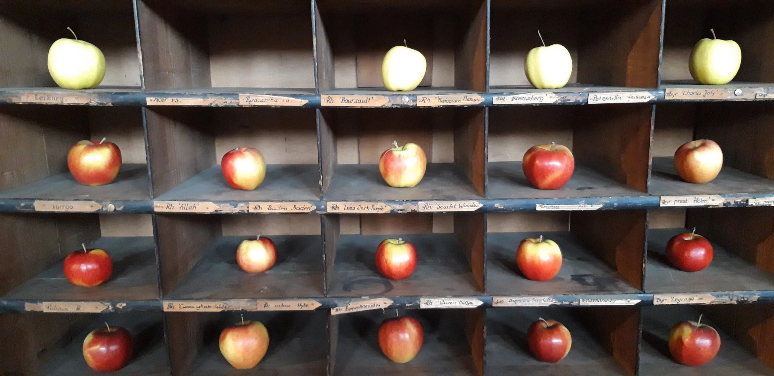 Are we ready for the Quantum "App Store"? Could plug and play Quantum Algorithms be the future of Quantum Development?