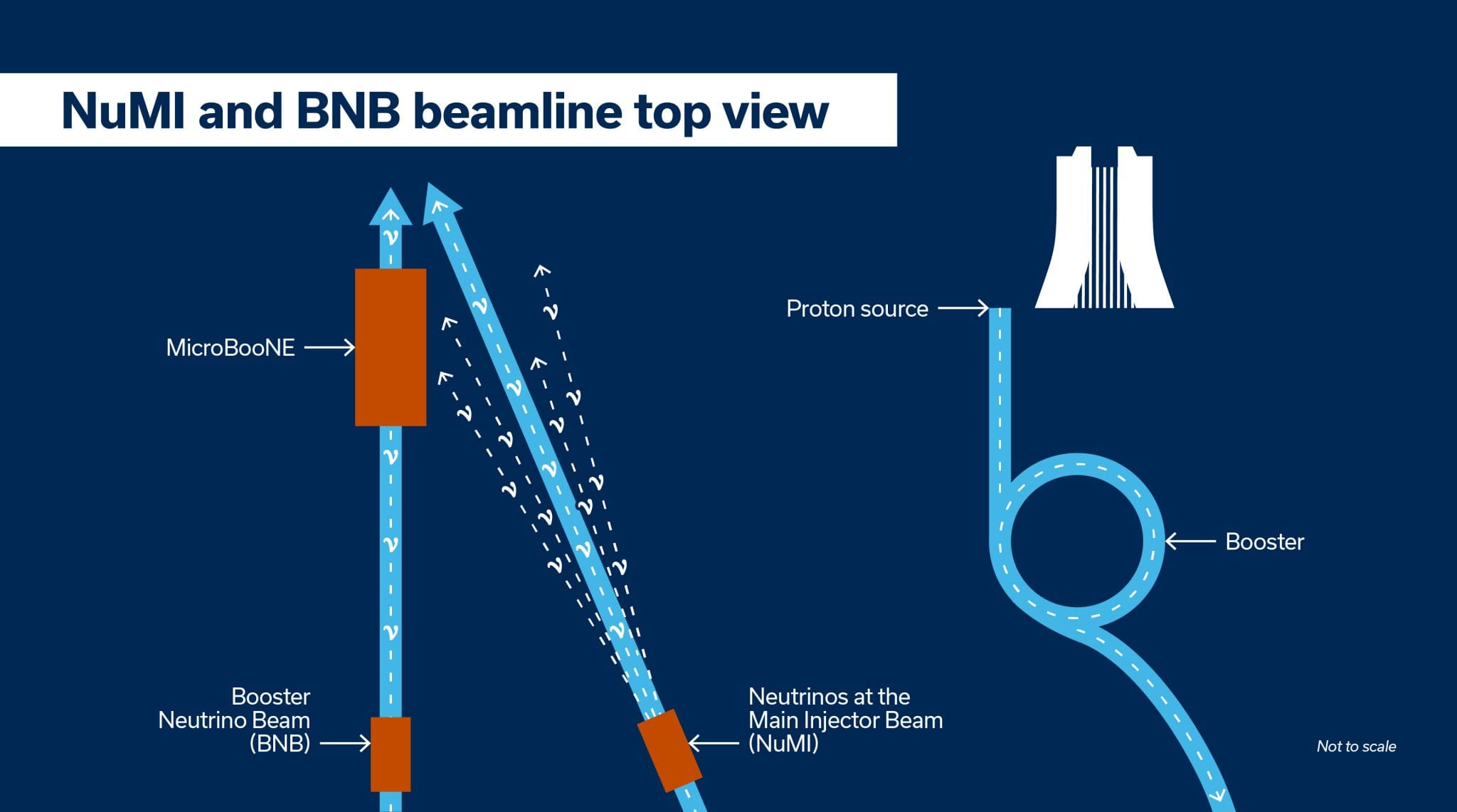 MicroBooNE Finds No Evidence for Sterile Neutrino