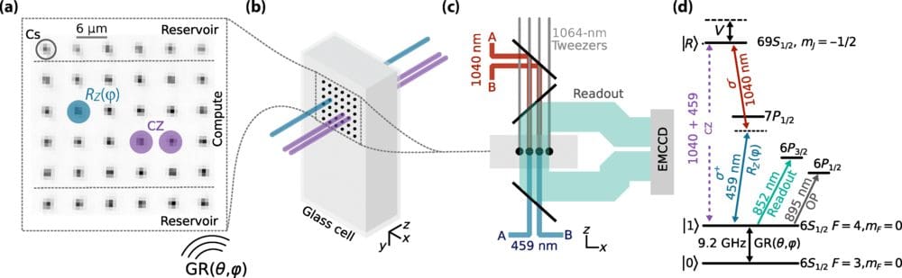 15‑Qubit Entanglement Shows Feasibility of Neutral‑Atom Processors