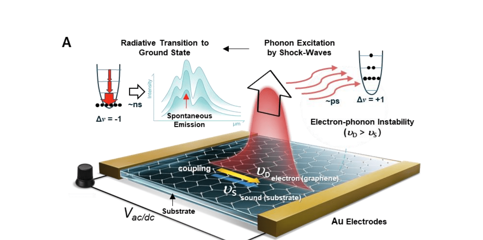 Graphene Layers Amplify Molecular Vibrational Mid-IR Radiation for Efficient Thermal Energy Transfer