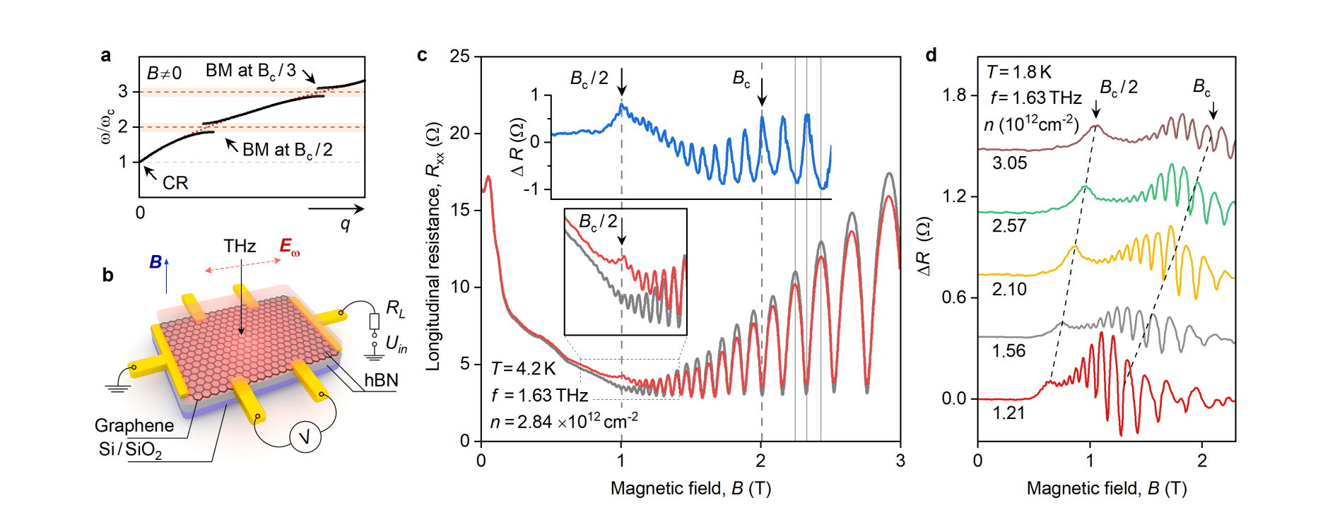 Graphene Bernstein Modes Demonstrate Plasmon-enhanced Magnetoabsorption with Saturation at Intensities Nearly an Order of Magnitude Lower Than Cyclotron Resonance