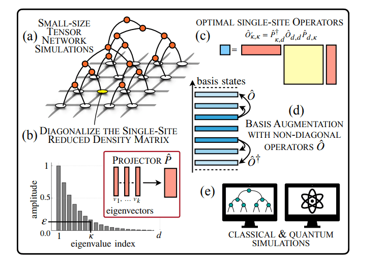 Optimal Local Basis Truncation of Quantum Many-Body Systems Reduces Computational Resources