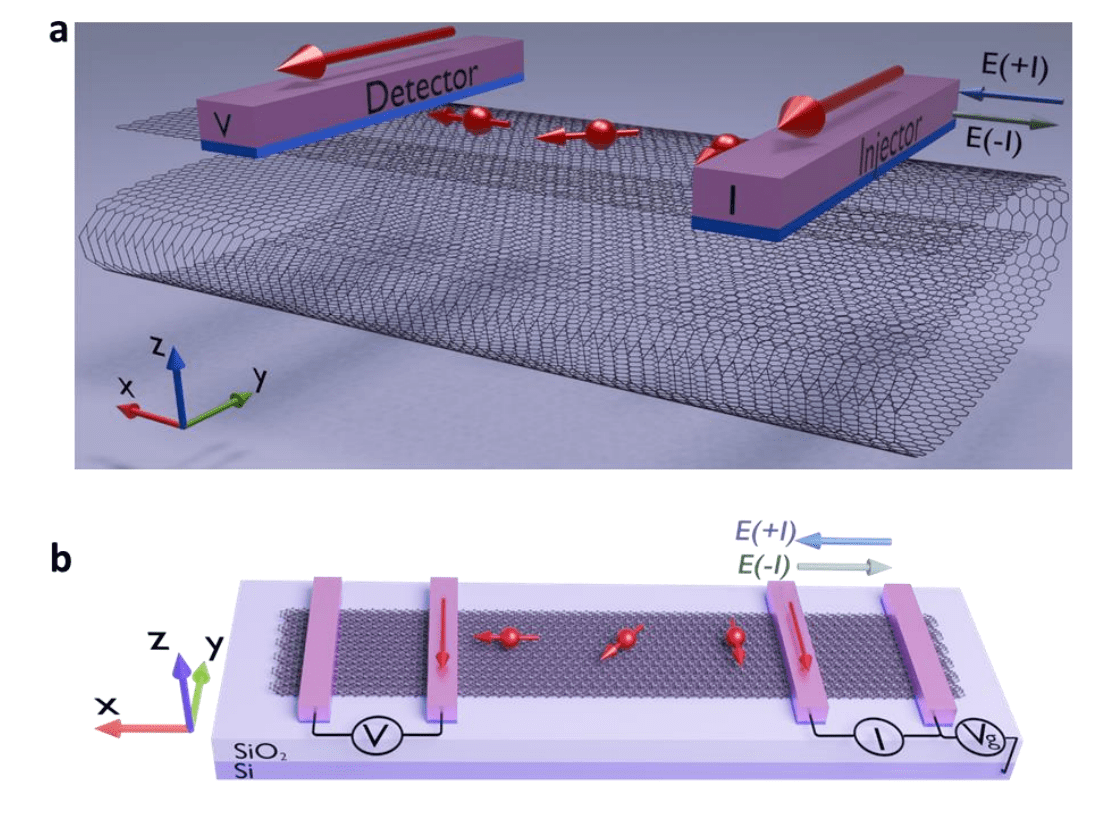 Folded-bilayer Graphene Achieves 20 meV Spin Accumulation and over Tenfold Asymmetry for Efficient Spin Rectification