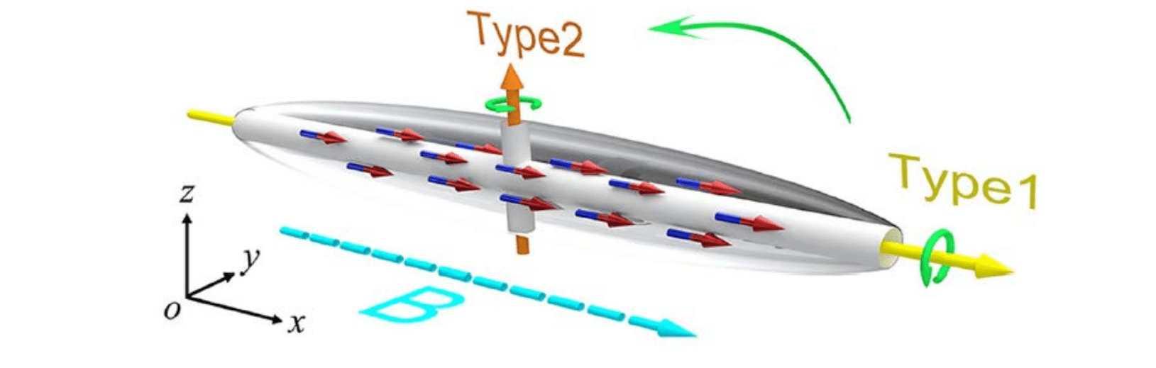 Multidimensional Soliton Systems Update Details 2D/3D Soliton Creation and Expanding Toroidal Light Structures