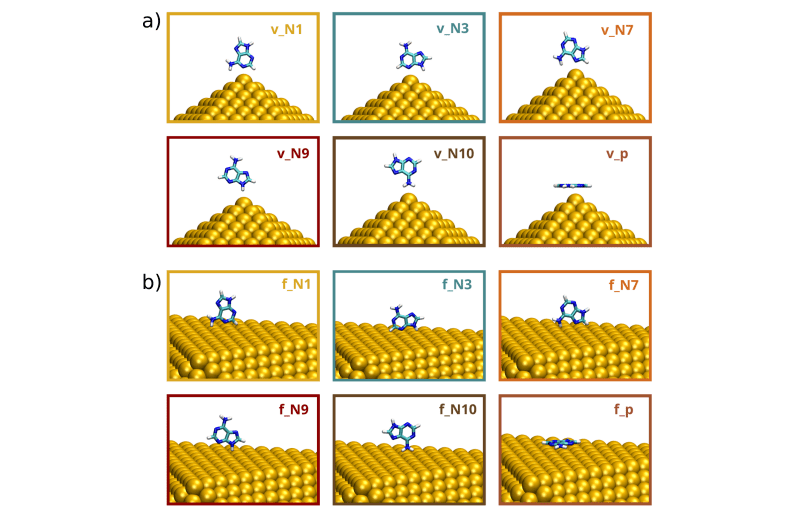 Atomistic QM/Classical Modeling Accurately Calculates Surface-Enhanced Infrared Absorption Spectra of Adsorbed Molecules