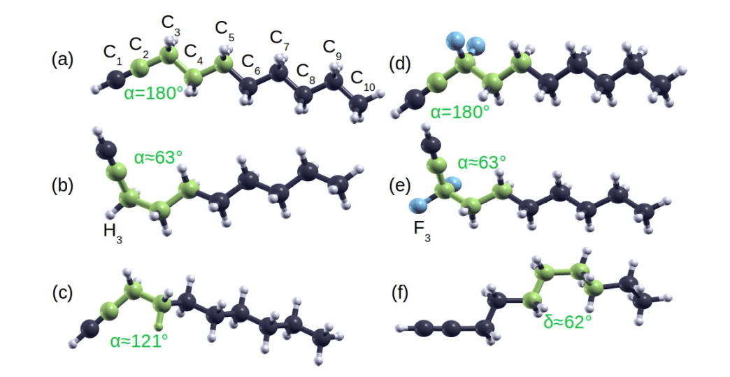 Quantum Analysis Reveals n-Alk-1-ynes Exhibit Two Near-Isoenergetic Rotamers with \,meV Barriers