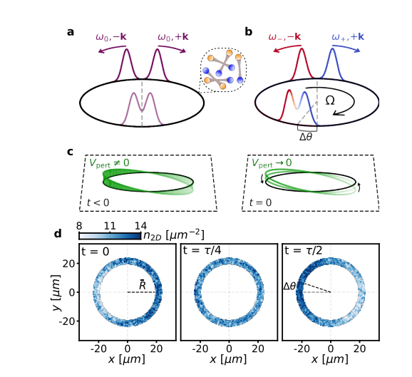 Sagnac Phonon Interferometry Discloses Fermionic Condensate Composite Nature across the BEC-BCS Crossover