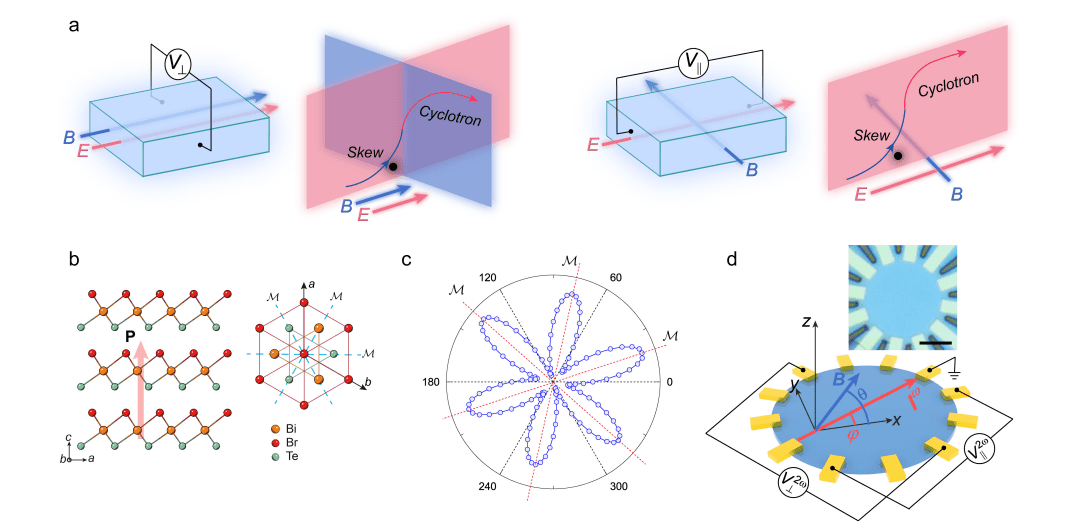 Lorentz Skew Scattering Demonstrates Quartic Scaling in Nonreciprocal Magneto-Transport, Revealing New Physics
