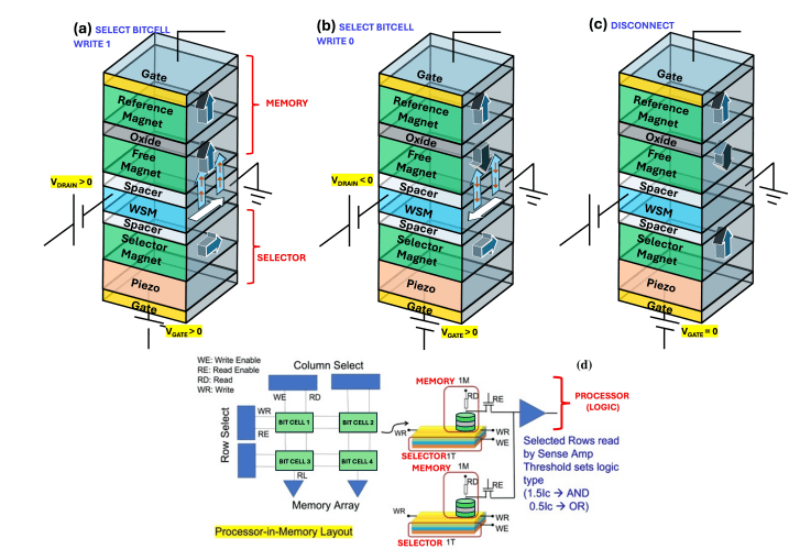 Voltage-gated Weyl Semimetals Enable Processing-in-Memory Via Tunable Spin-Orbit Torque Random-Access Memory