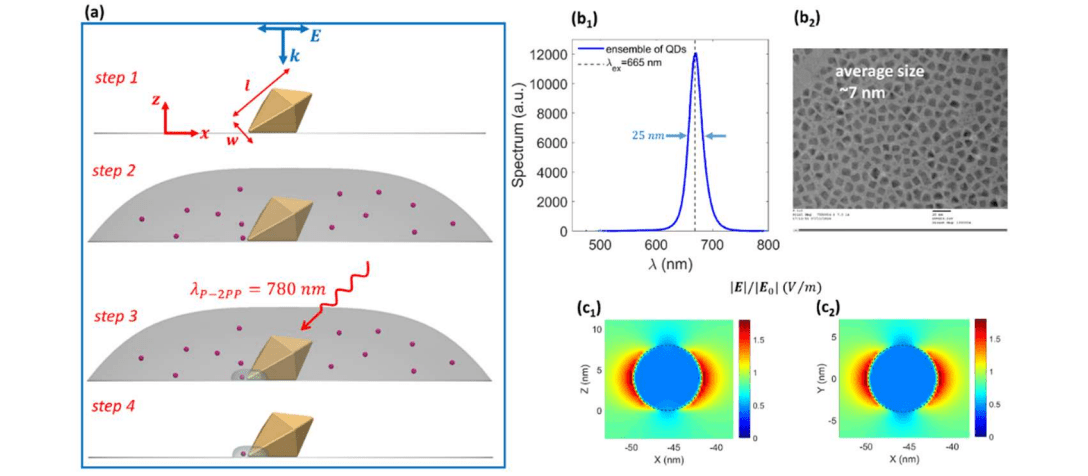 Quantum Dots Integrated Onto Plasmonic Bipyramid Nanoantennas Achieve Strong Coupling at Room Temperature