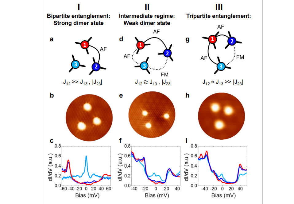 Graphene Exhibits 3 meV Spin Coupling over 10nm, Revealed by Atomic-resolution Spin Excitations