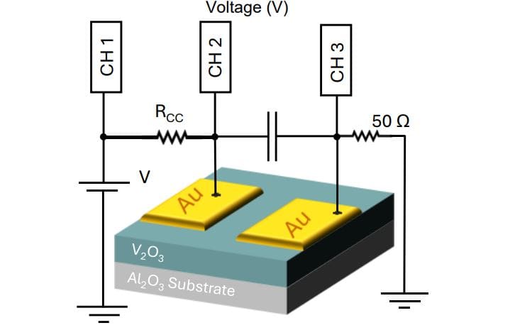 Irradiated Vanadium Oxide Oscillators Demonstrate Stochastic Dynamics and Rapid Current Flickering
