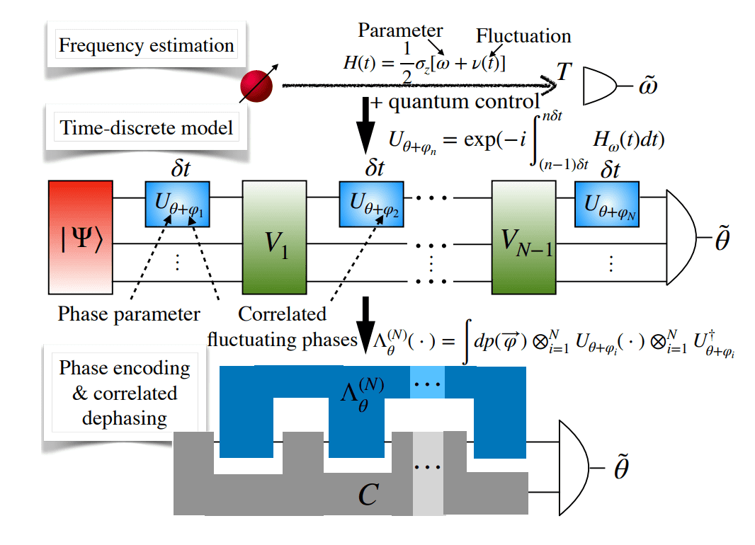 Optimal Phase Estimation Achieves Performance Gains with Tensor-Network Strategies in Correlated Dephasing