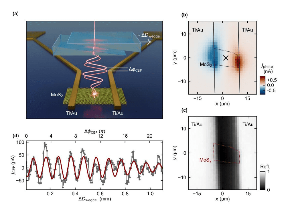 Carrier-envelope Phase Control Achieves Photocurrent Modulation in Mono, Bi, and Tri-layer MoS