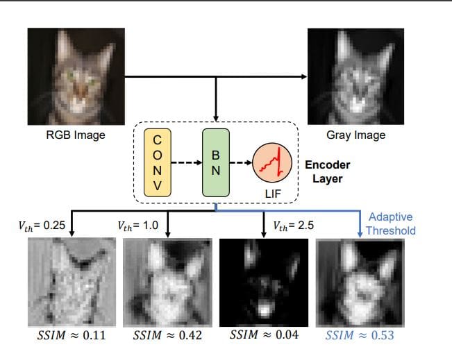 Ds-atgo: Dual-Stage Synergistic Learning Optimizes Spiking Neural Networks Via Adaptive Threshold and Gradient Control