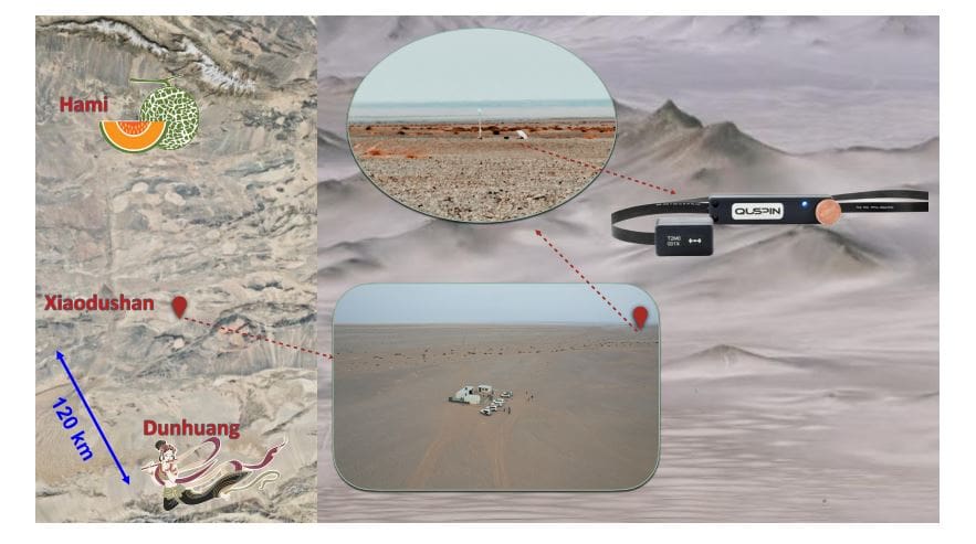 Quantum Magnetometry Searches Earth’s Cavity, Setting Limits on Ultralight Dark Matter Signals