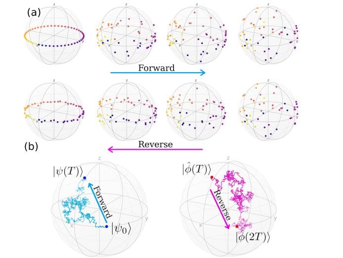 Quantum Reverse Diffusion Reverses Noise in Pauli Channels, Enabling New Tomography and Gate Paradigms