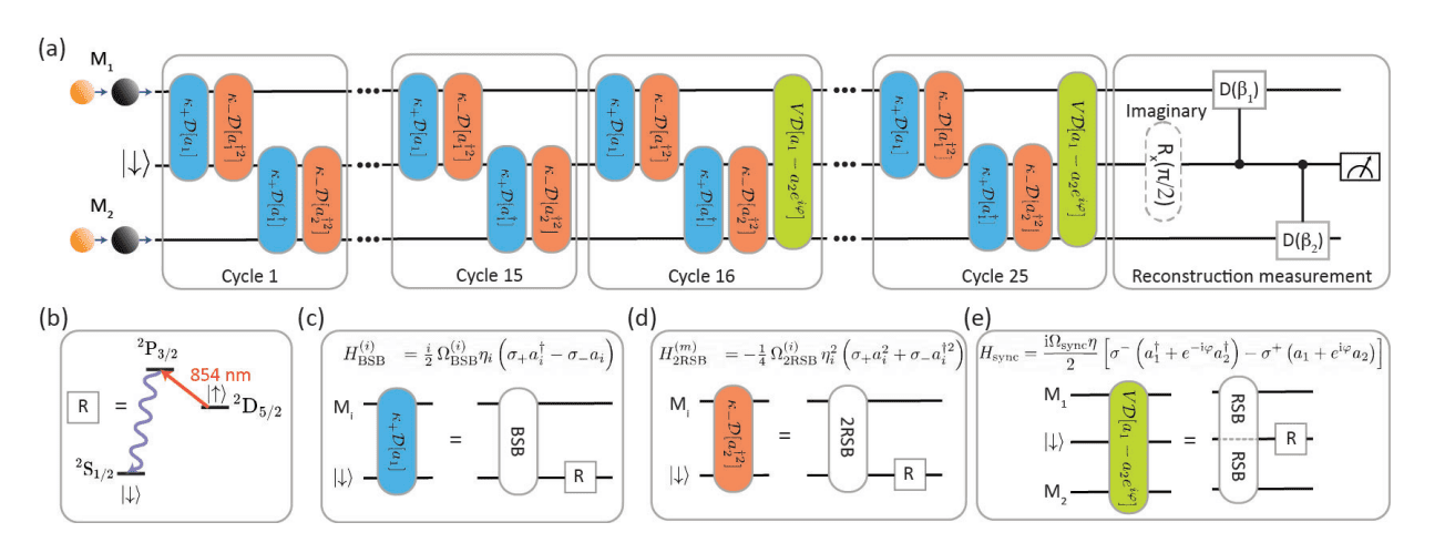Quantum Van Der Pol Oscillators Demonstrate Synchronization in Trapped Ions, Enabling Exploration of Nonlinear Dynamics