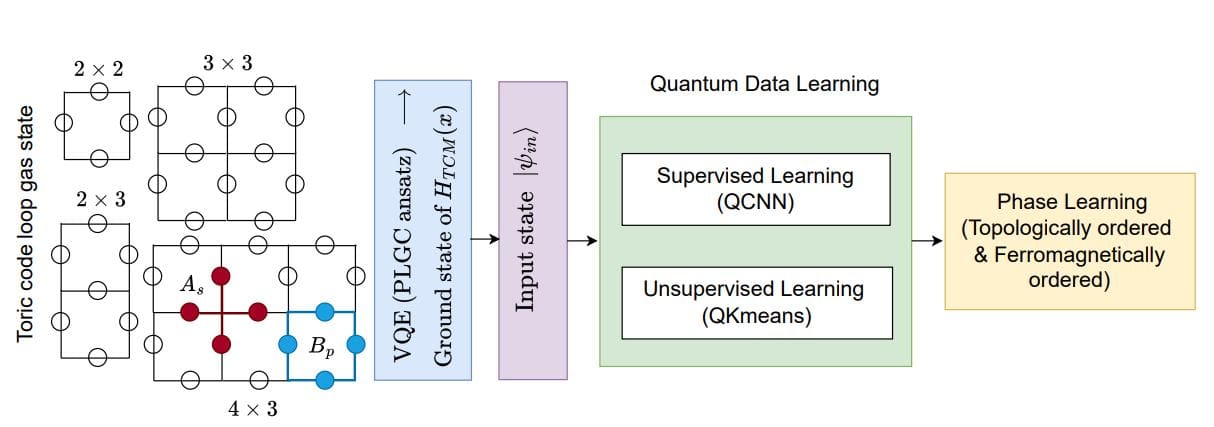 Quantum Data Learning Classifies Toric Code Loop Gas Phase Transitions with 0.4 and 0.25 Fidelity at 0.2 Field