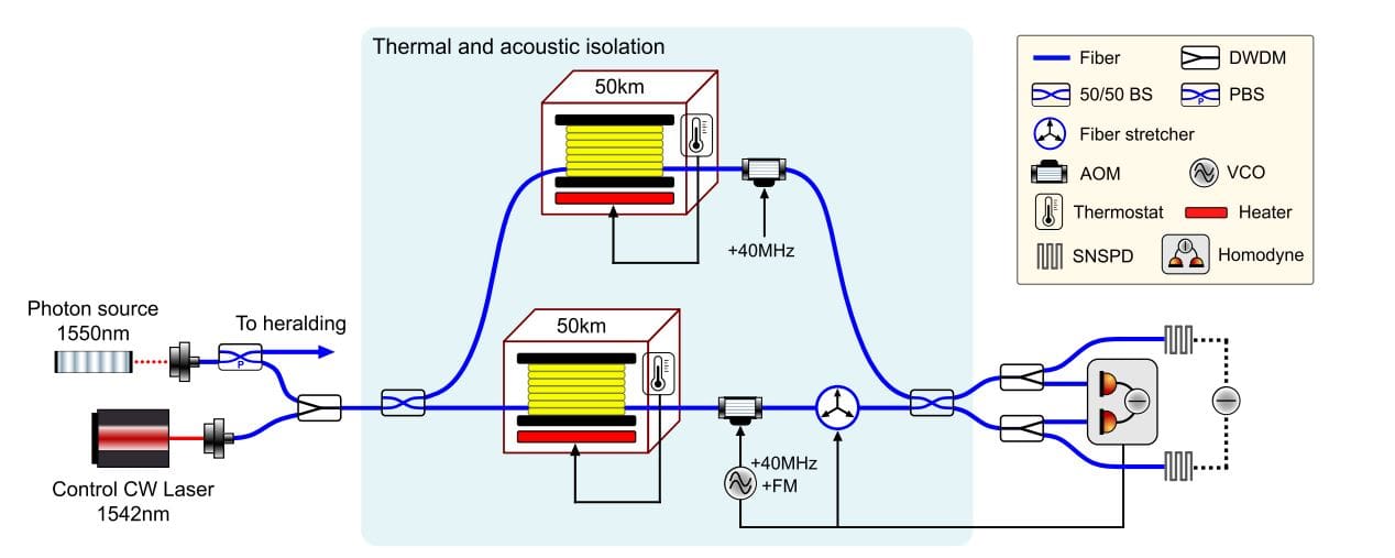 50-km Fiber Interferometer Achieves rad Root-Mean-Square Phase Sensitivity at 0.01 Hz, Resolving Gravity-Induced Signals