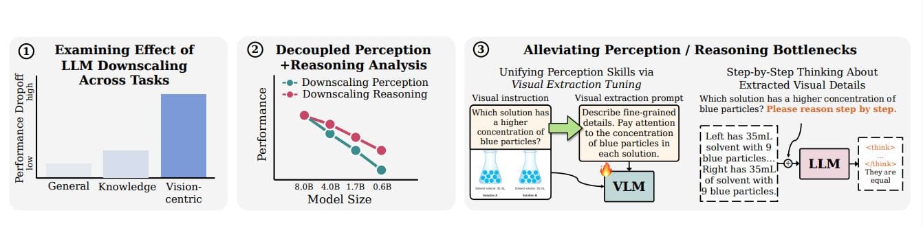 Downscaling Intelligence: Study Reveals LLM Capacity Reduction Disproportionately Impacts Visual Perception and Reasoning