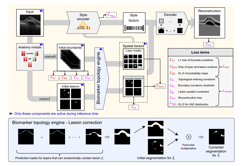 QZ Scheduled Blogs - Rohail T. QZ Scheduled Blogs - Rohail T. 100% 8 A11 Sd-retinanet Enforces Topologically Correct Retinal Lesion and Layer Segmentation in OCT Via Semi-Supervised Learning Sd-retinanet Enforces Topologically Correct Retinal Lesion and Layer Segmentation in OCT Via Semi-Supervised Learning Turn on screen reader support To enable screen reader support, press Ctrl+Alt+Z To learn about keyboard shortcuts, press Ctrl+slash