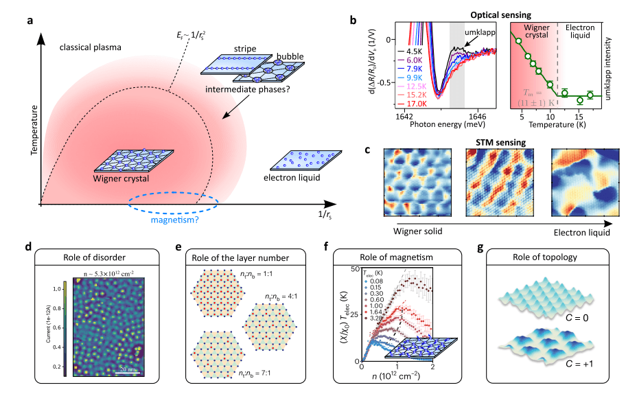 Electronic Crystals in Layered Materials Demonstrate Novel Phases and Tunable Moiré Superlattices