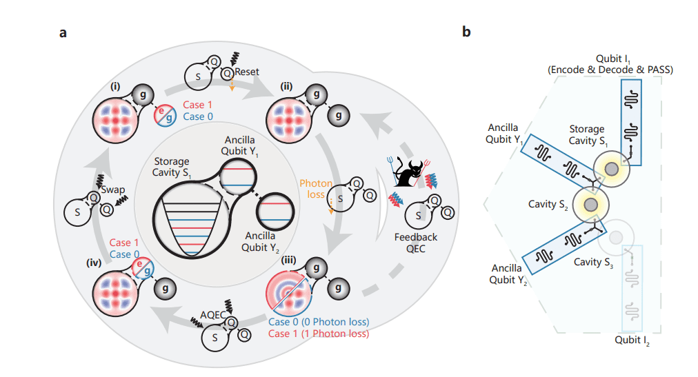 Extending Coherence Time Beyond Break-even Using Drives and Dissipation Achieves 1.04x Logical Qubit Lifetime Improvement