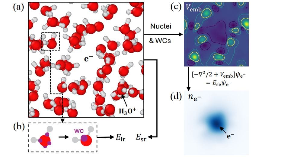 Machine Learning Model Recreates Solvated Electron Chemistry with 3.2 Kcal Mol Activation Energy