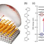 Scientists Observe Exciton Wave Function Evolution in Organic Semiconductors across Three Molecular Units