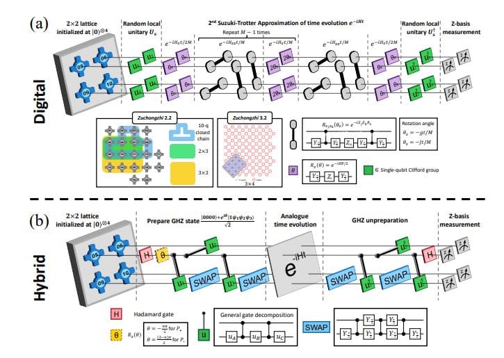 Algorithmic Quantum Simulations Demonstrate Finite-Temperature Thermodynamic Properties with Quantitative Agreement