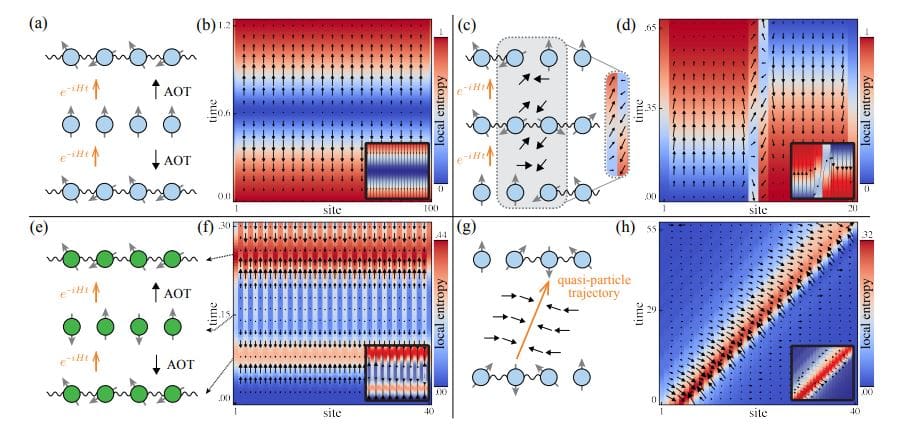 Quantum Many-Body Systems Exhibit Local Arrows of Time Differing from Global Time In, Systems