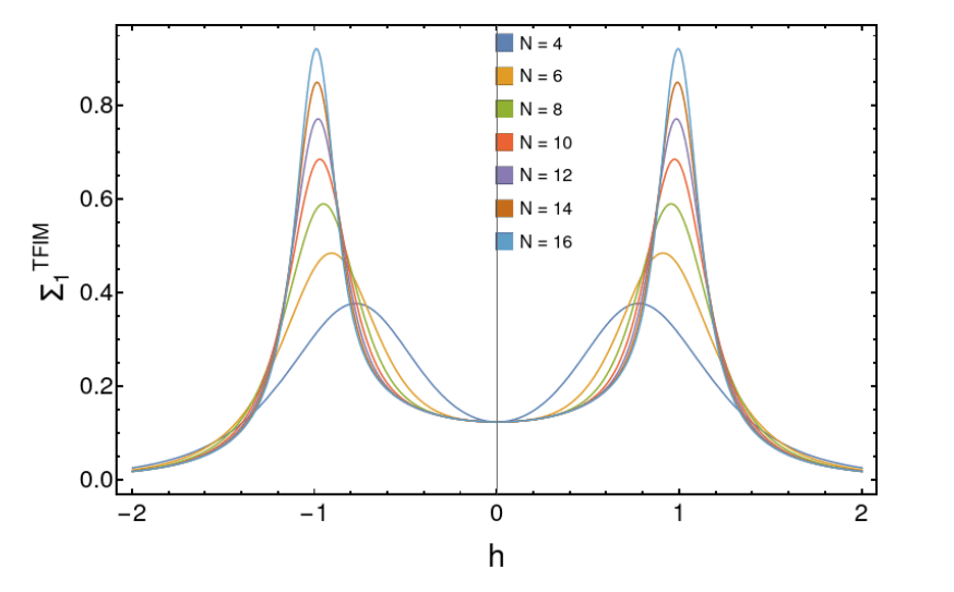 Quantum Criticality Revealed: Metric Response of Relative Entropy Diverges at Critical Points in Spin Chains