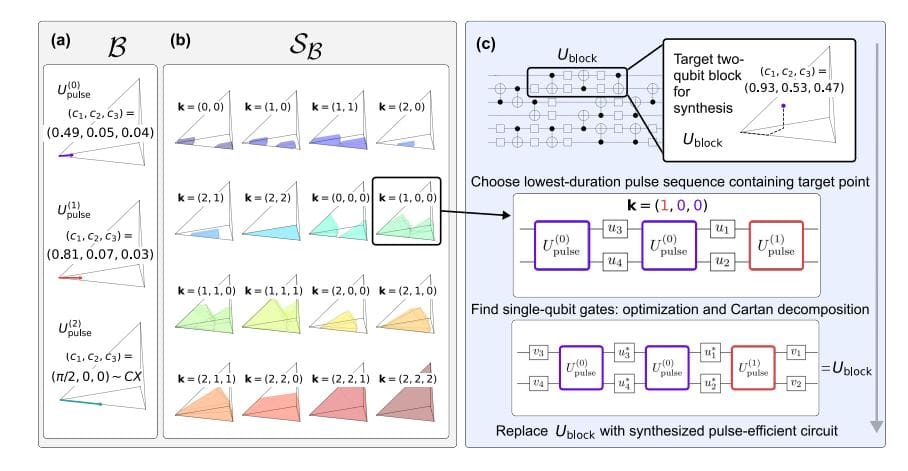 High-fidelity Circuit Execution Achieved Via Compilation and Characterization of Imperfect Gates on 26 Qubits