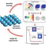 Unsupervised Machine Learning Detects Quantum-Many-Body Phase Transitions Despite Limited Observables