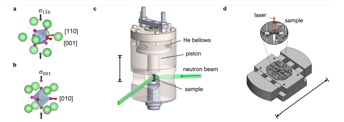Uniaxial Strain Tunes Polar Lattice Vibrations in KTaO and SrTiO, Revealing First-Order Phase Transition