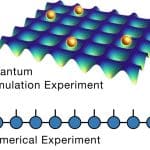 Quantum Matter Classification Via Network Theory Links Wave Function Snapshots to Collective Properties